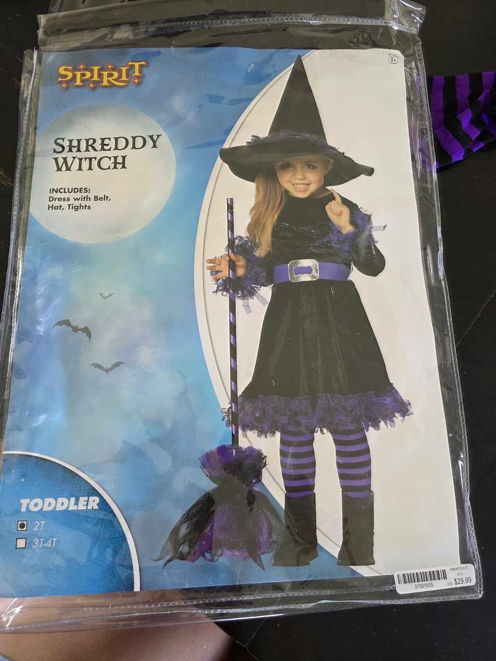 Spirit Shreddy Witch Costume - Black & Purple